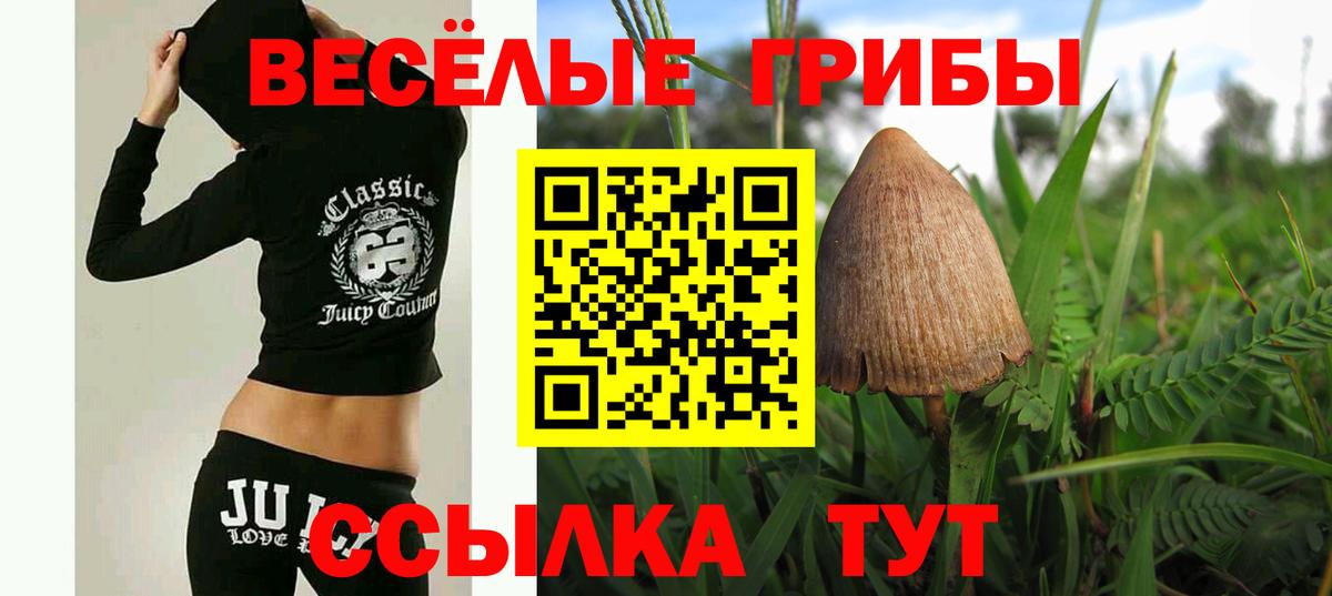 Красногорск  Галлюциногенные грибы ЛСД  Вход с VPN 